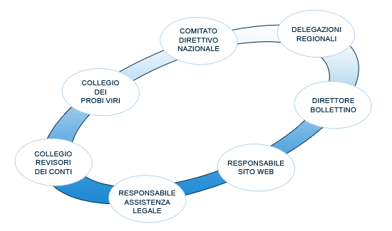 Direttore bollettino e sito web