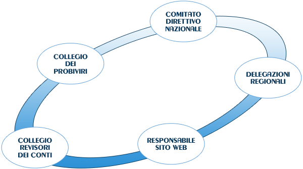 Direttore bollettino e sito web