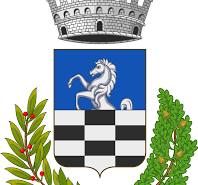 Comune di Casandrino logo 