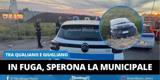 Quagliano
